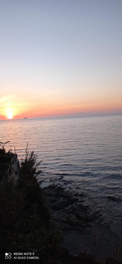 Studio Bord De Mer A Bastia San-Martino-di-Lota מראה חיצוני תמונה